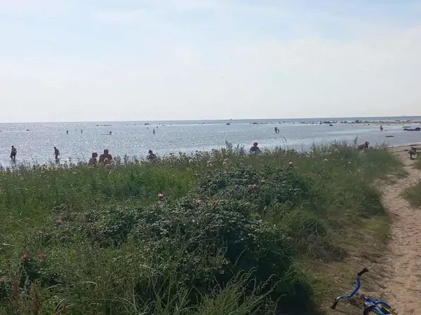 Bild 33 von 53