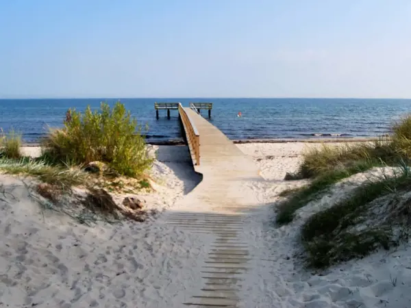 Bild 6 von 19