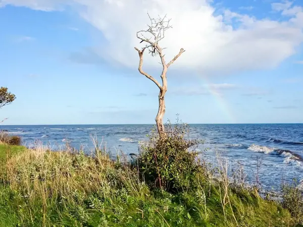 Bild 20 von 34