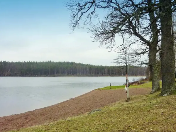 Bild 3 von 12