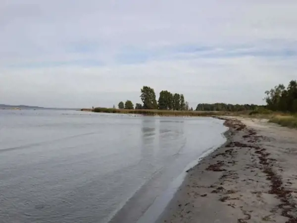 Bild 20 von 39