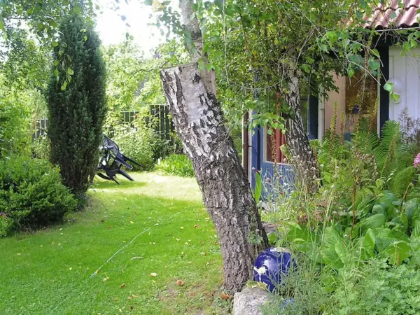 Bild 10 von 21