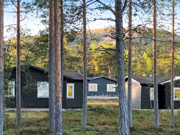 Ferienhaus 43987 in Malung-Sälen / Dalarna