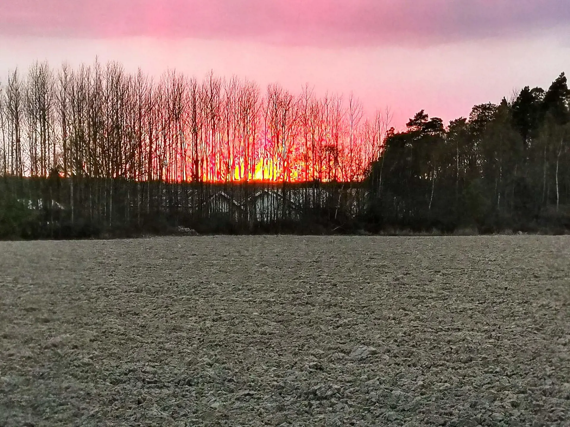 Bild 16 von 30