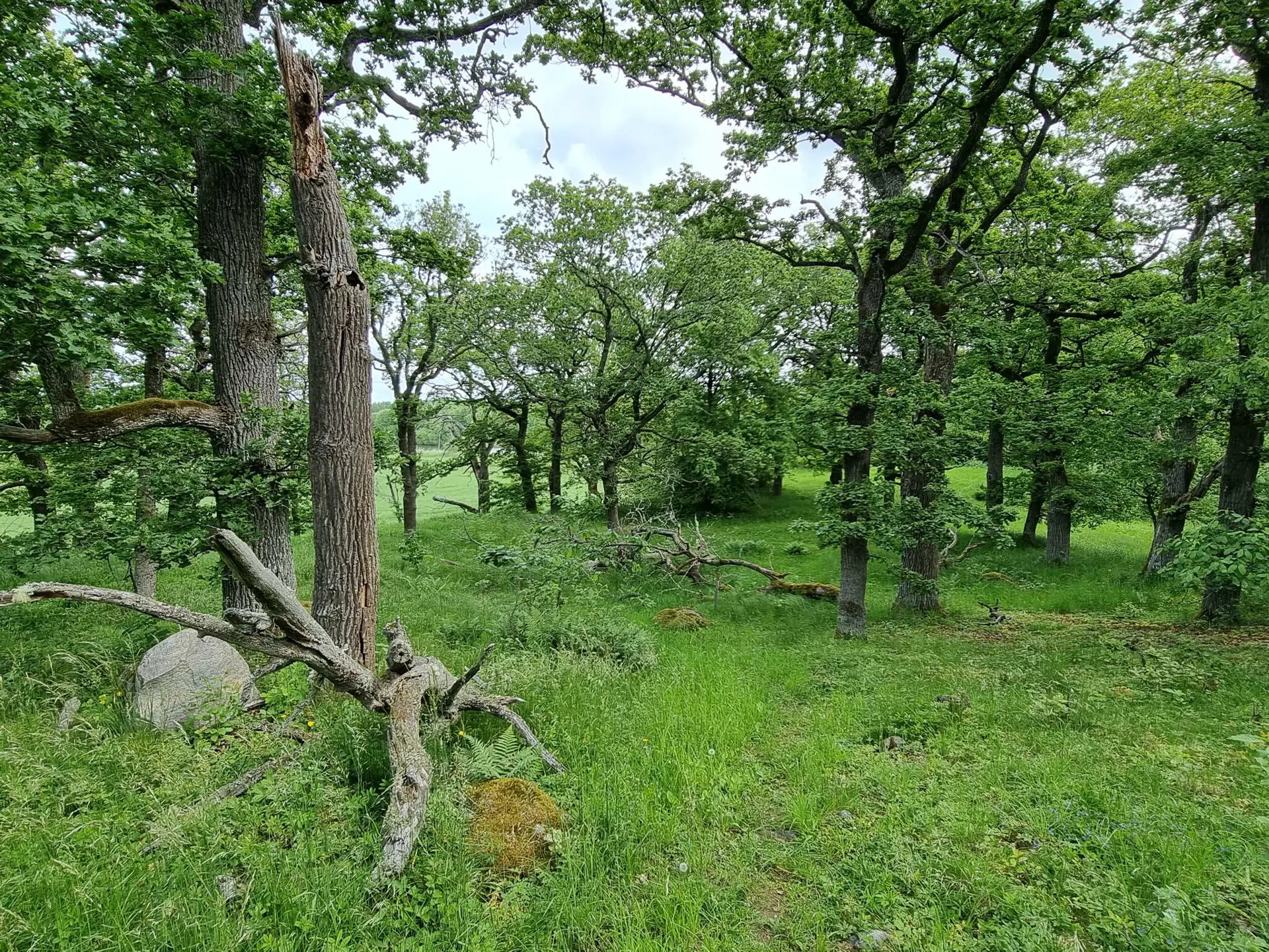 Bild 18 von 30