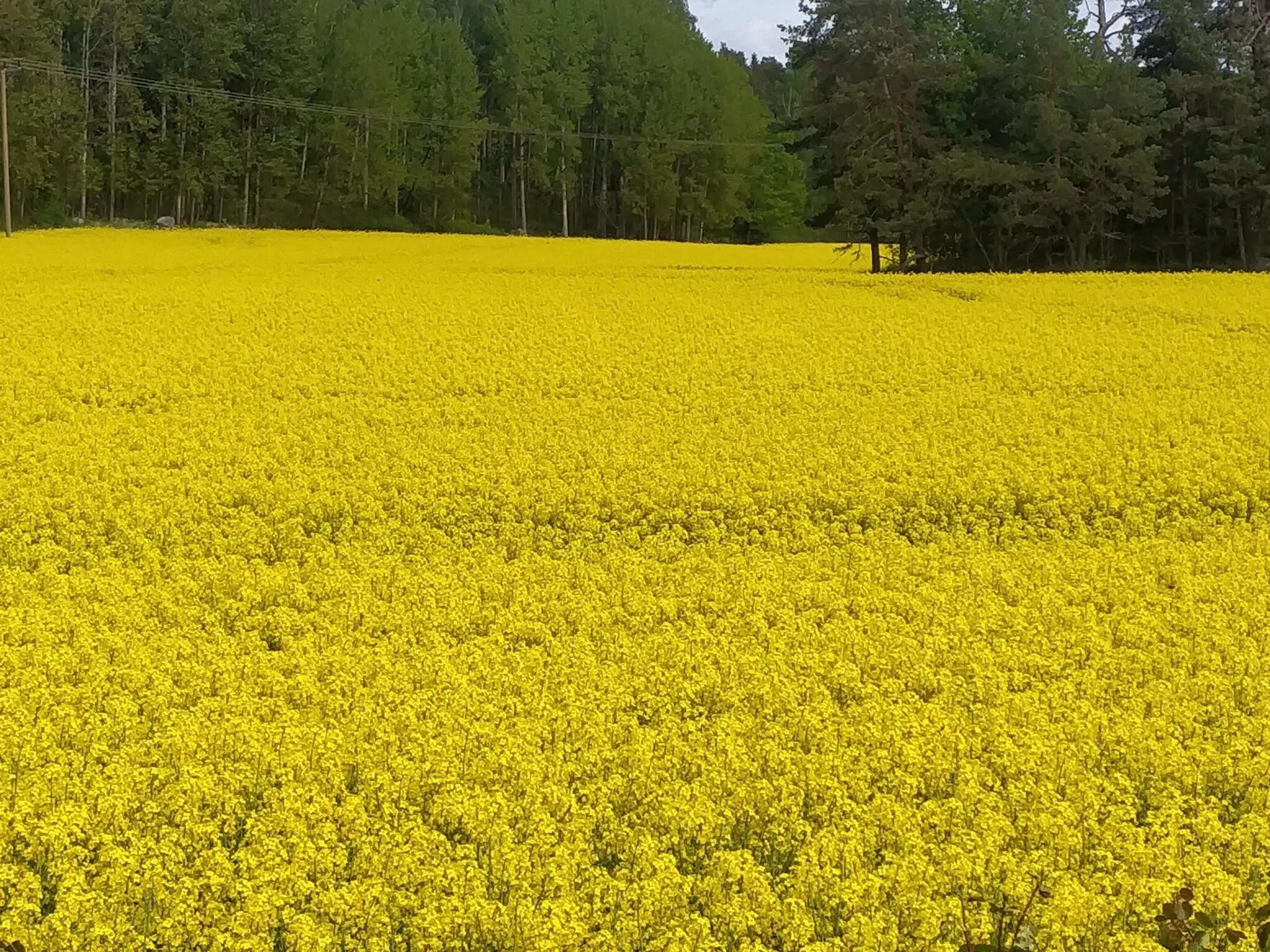 Bild 23 von 30