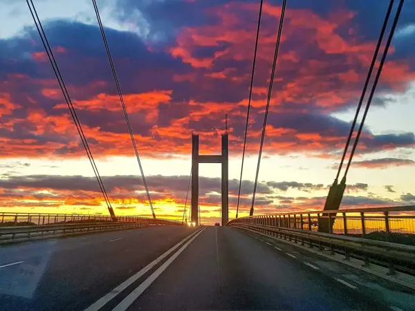 Bild 31 von 50