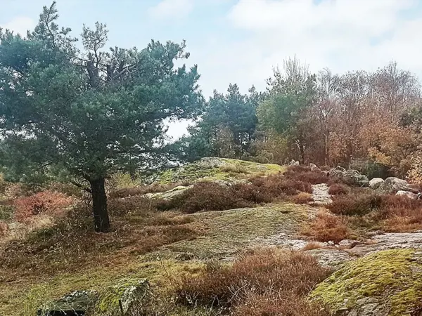 Bild 35 von 50