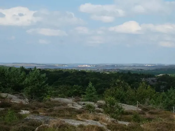 Bild 40 von 50