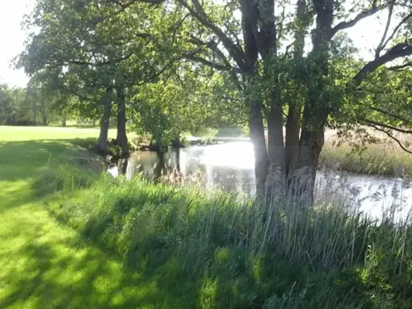 Bild 19 von 32
