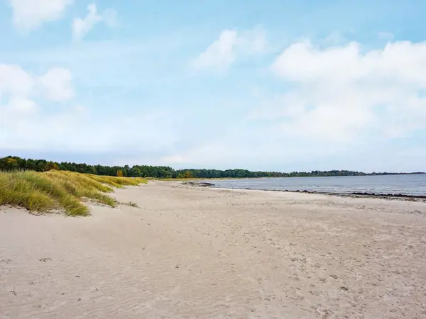 Bild 4 von 14