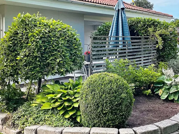 Bild 6 von 29