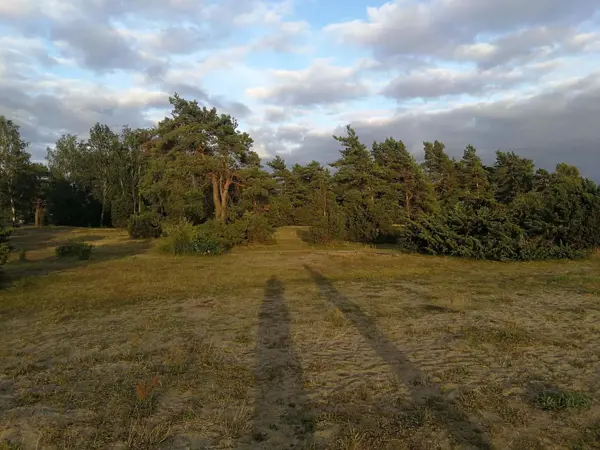 Bild 30 von 33
