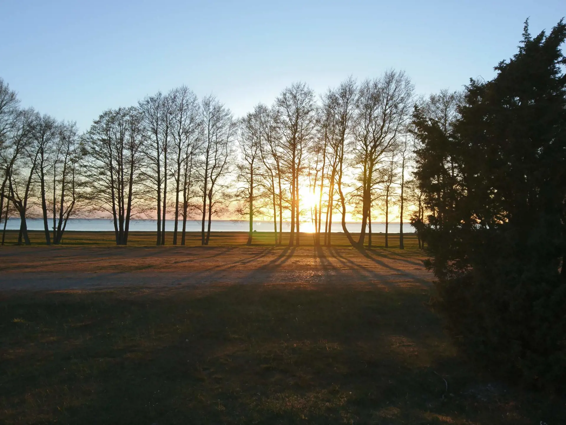 Bild 31 von 35
