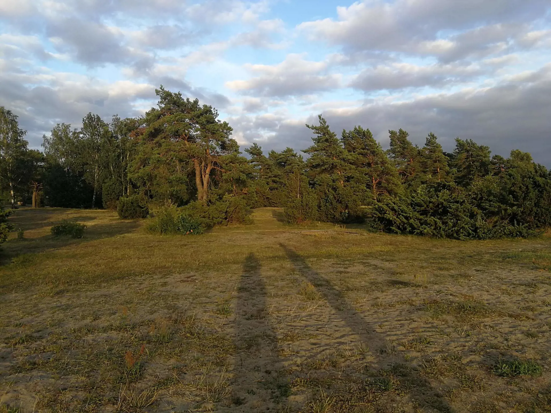 Bild 33 von 35