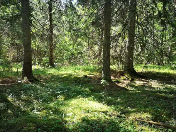 Bild 34 von 36