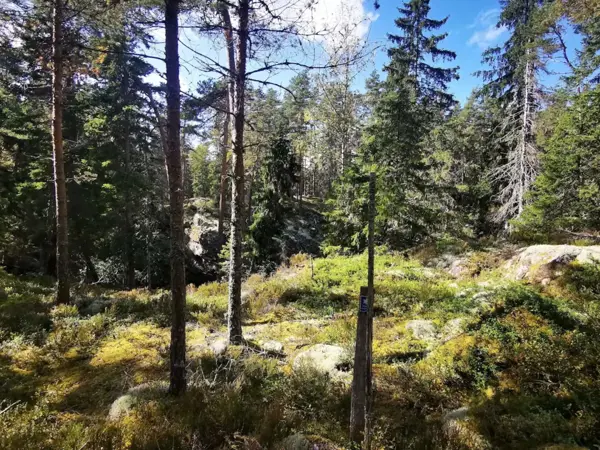 Bild 35 von 36