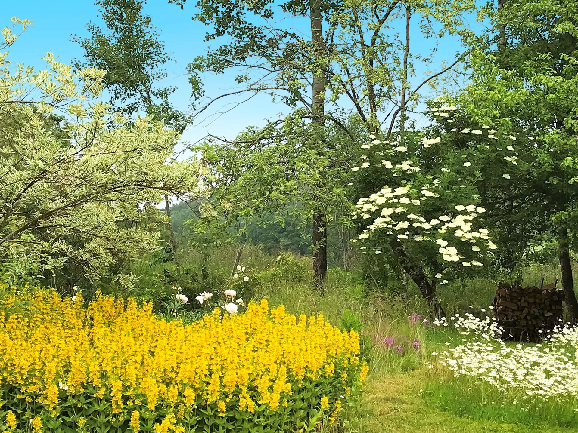 Bild 3 von 24