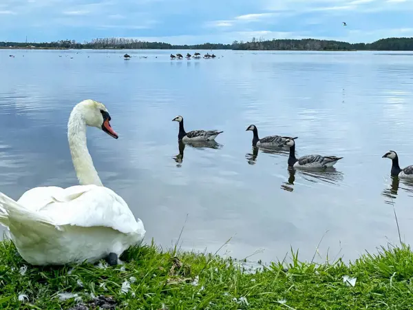 Bild 61 von 61