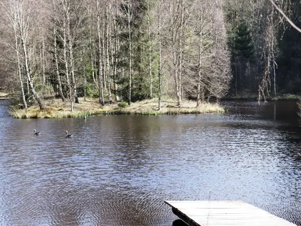 Bild 27 von 30