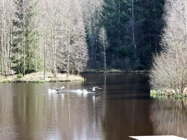 Bild 29 von 30