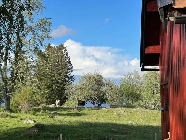 Bild 38 von 43