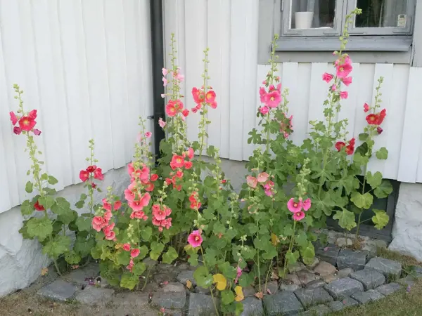 Bild 16 von 18