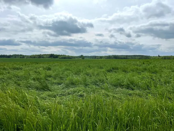 Bild 6 von 30