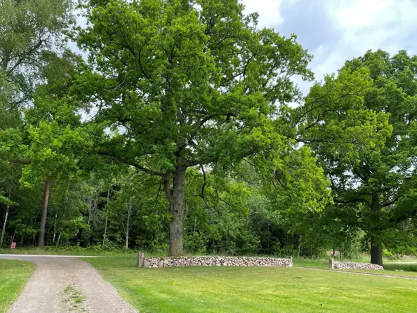 Bild 7 von 30
