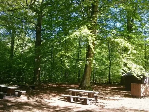 Bild 31 von 36