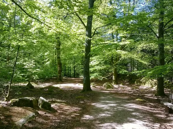 Bild 33 von 36