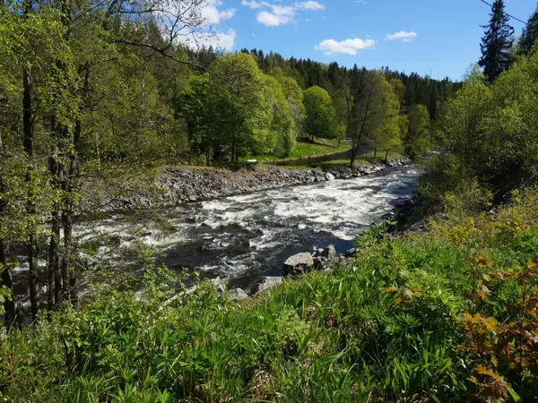 Bild 29 von 36