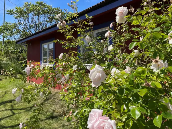 Bild 3 von 27