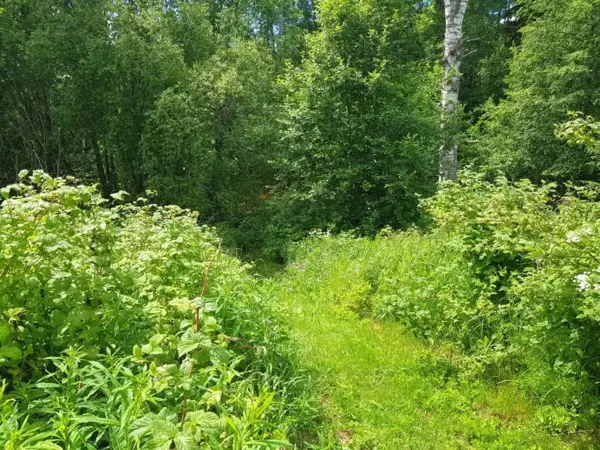 Bild 22 von 22