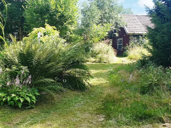 Bild 11 von 40