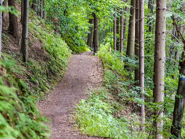 Bild 22 von 23