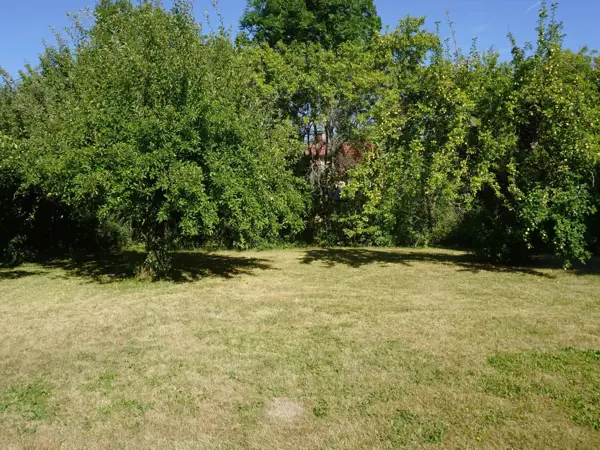 Bild 31 von 31