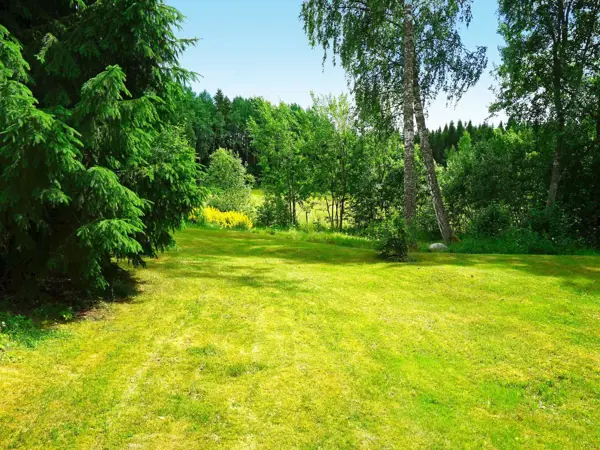 Bild 5 von 17
