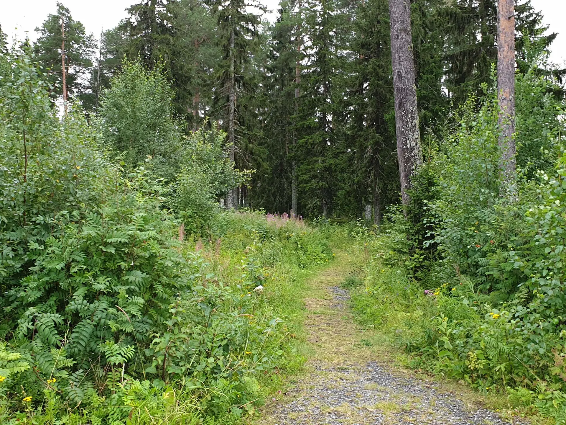 Bild 26 von 35