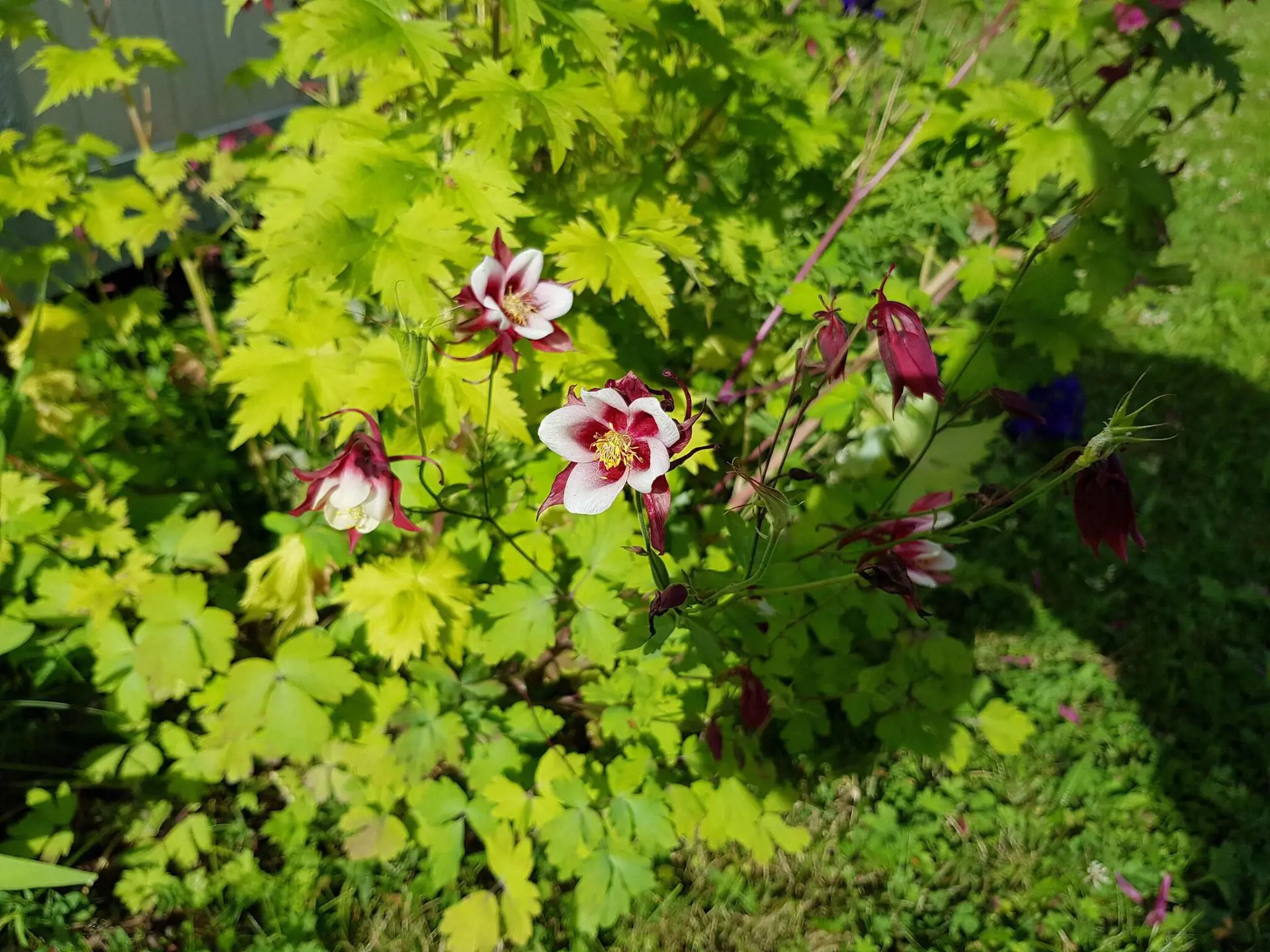 Bild 27 von 35