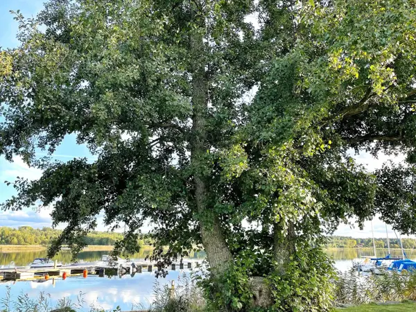Bild 36 von 40