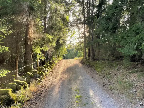 Bild 17 von 24