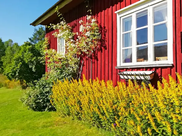 Ferienhaus 49383 in Eda / Värmland