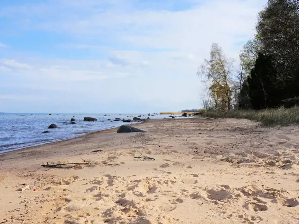 Bild 16 von 20