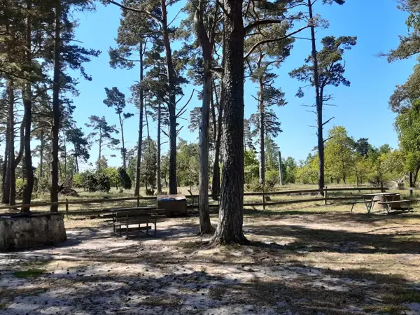 Bild 31 von 34