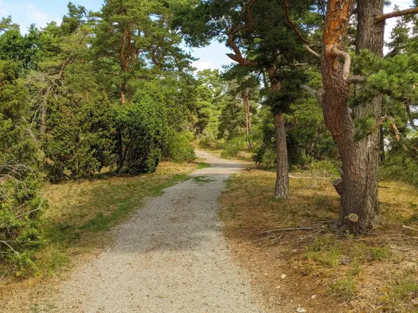 Bild 33 von 34