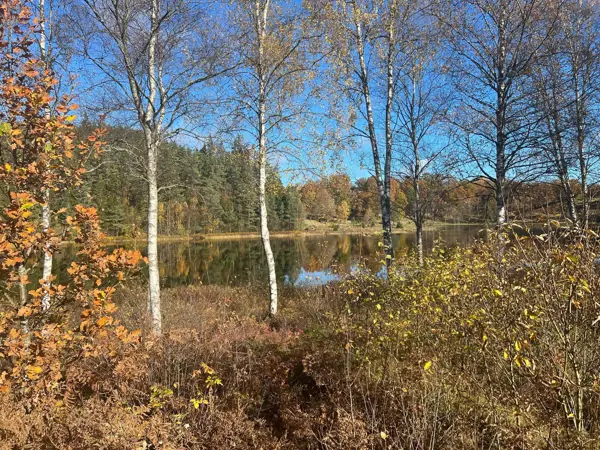 Bild 35 von 35