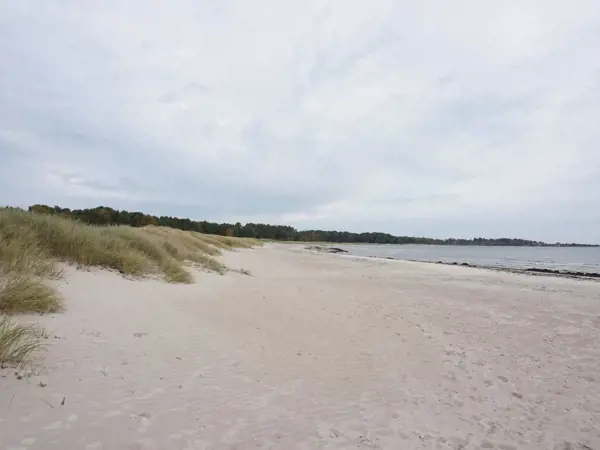 Bild 4 von 18