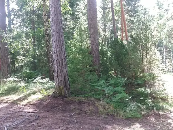 Bild 30 von 34