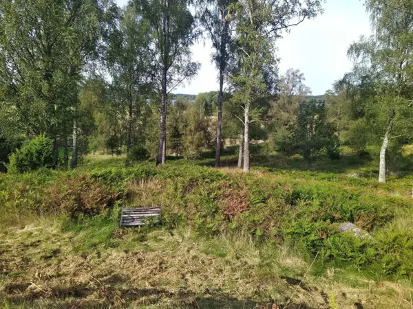 Bild 30 von 35
